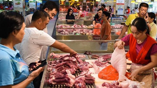 多部门联合启动2021年度中央储备猪肉收储工作