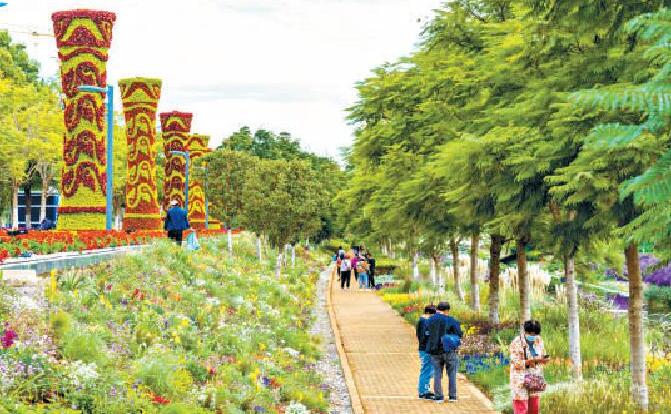 北京花匠花卉布置融入当地特色 为昆明“绘”美景