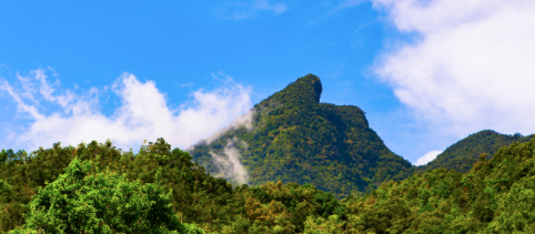 海南国家公园GEP是我国首例针对国家公园开展的生态系统生产总值核算