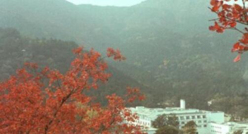 带三个孩子游香山迷路！海淀警方提醒市民登山赏景要把安全放在第一位