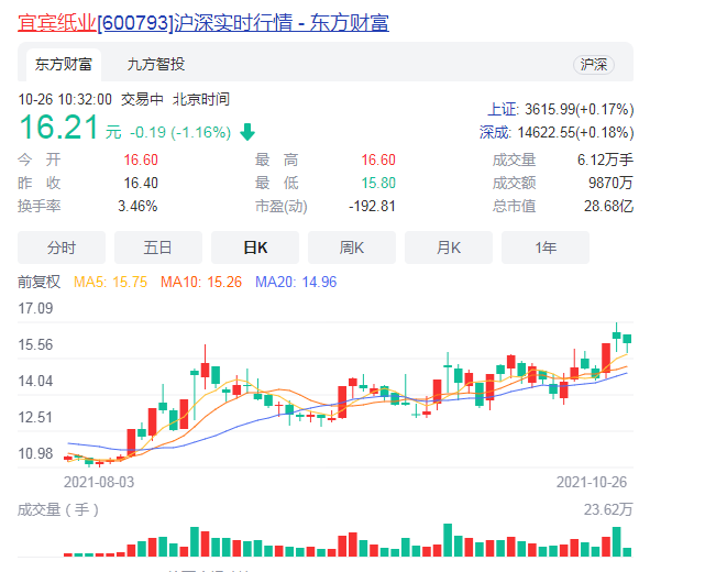 宜宾纸业涨10.03%目前报价16.23元 该上市企业董事长是谁？