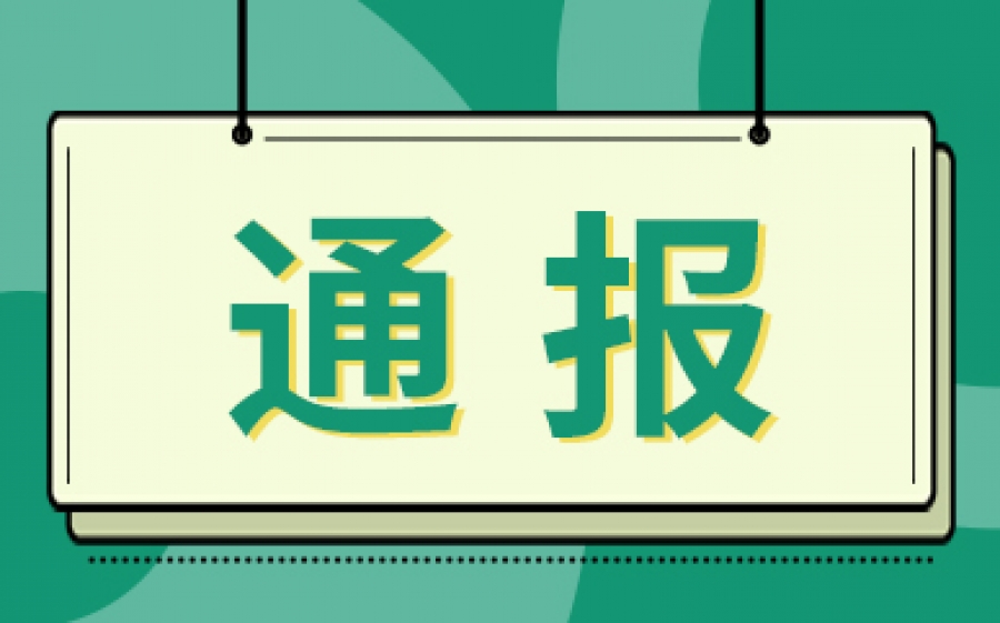 《中国自由贸易试验区发展报告2021》发布 综合发展成效凸显