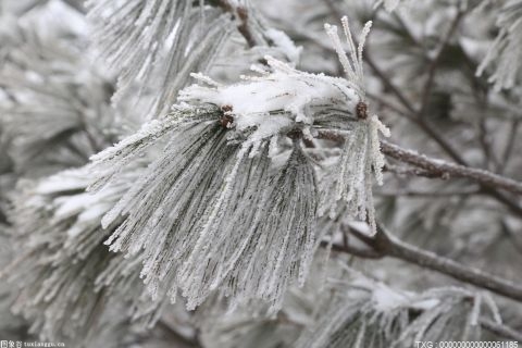 北京冬奥会带来冰雪旅游热 上市公司积极布局