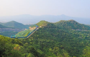 “世界野生动植物日”是为提高人们对世界野生动植物的认识