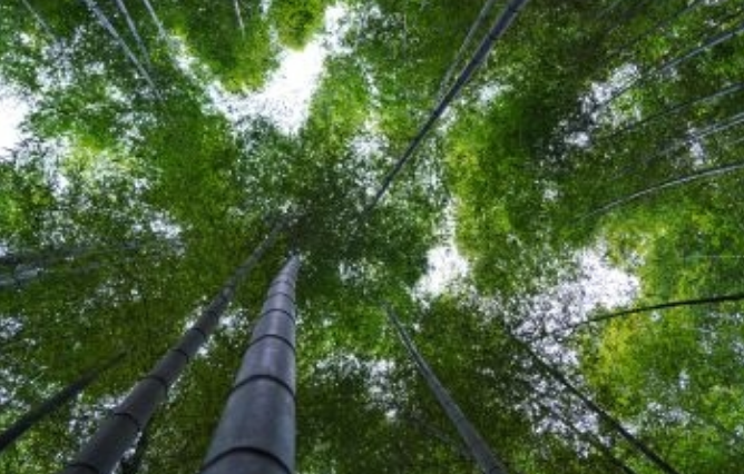 宁海全力打造“人才强磁场” 引进高校人才4200余名