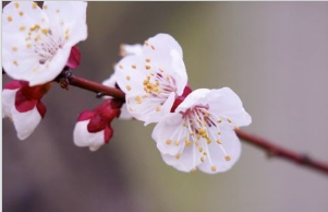 唤醒“沉睡”的耕地！广东大力推进垦造水田建设