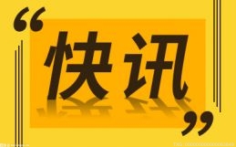 科技赋能提升服务延伸能力 场景应用推动数字化转型发展